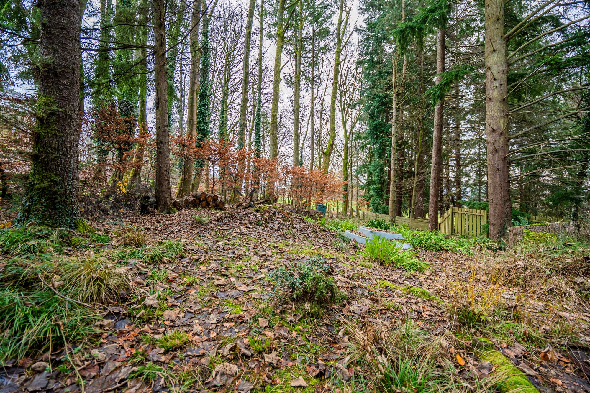 3 bed detached house for sale in Glen Road, Dunblane, FK15  - Property Image 27