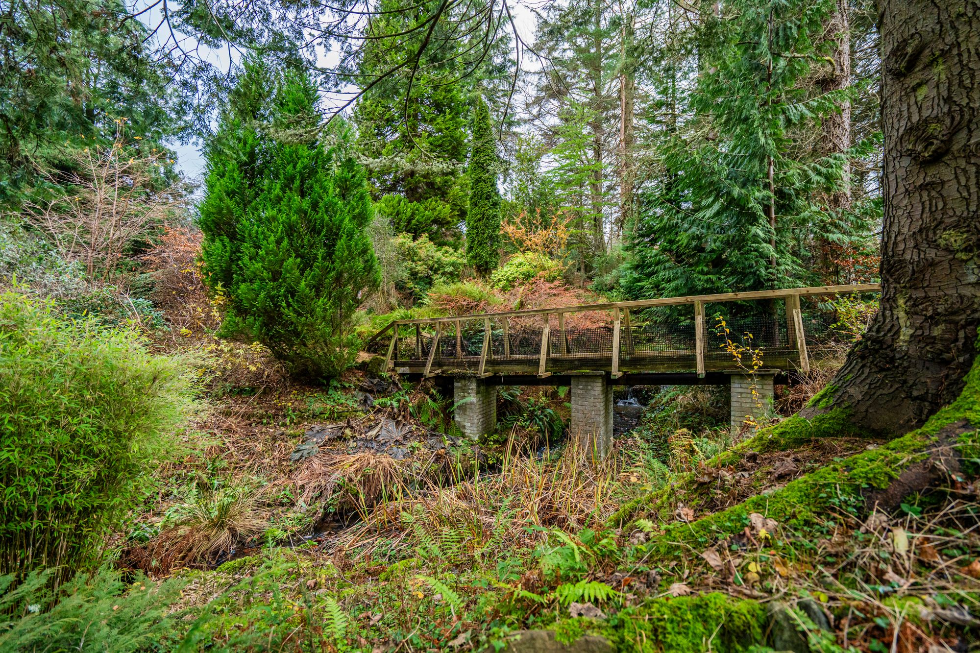 3 bed detached house for sale in Glen Road, Dunblane, FK15  - Property Image 29