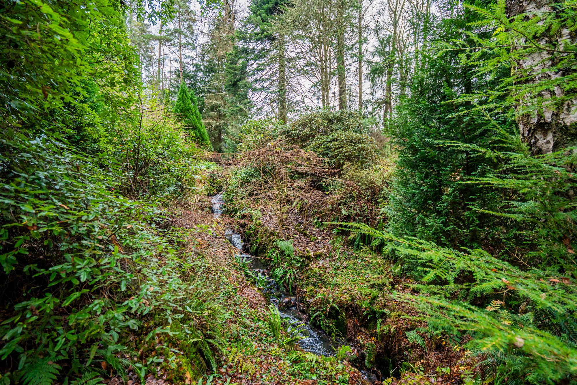 3 bed detached house for sale in Glen Road, Dunblane, FK15 29