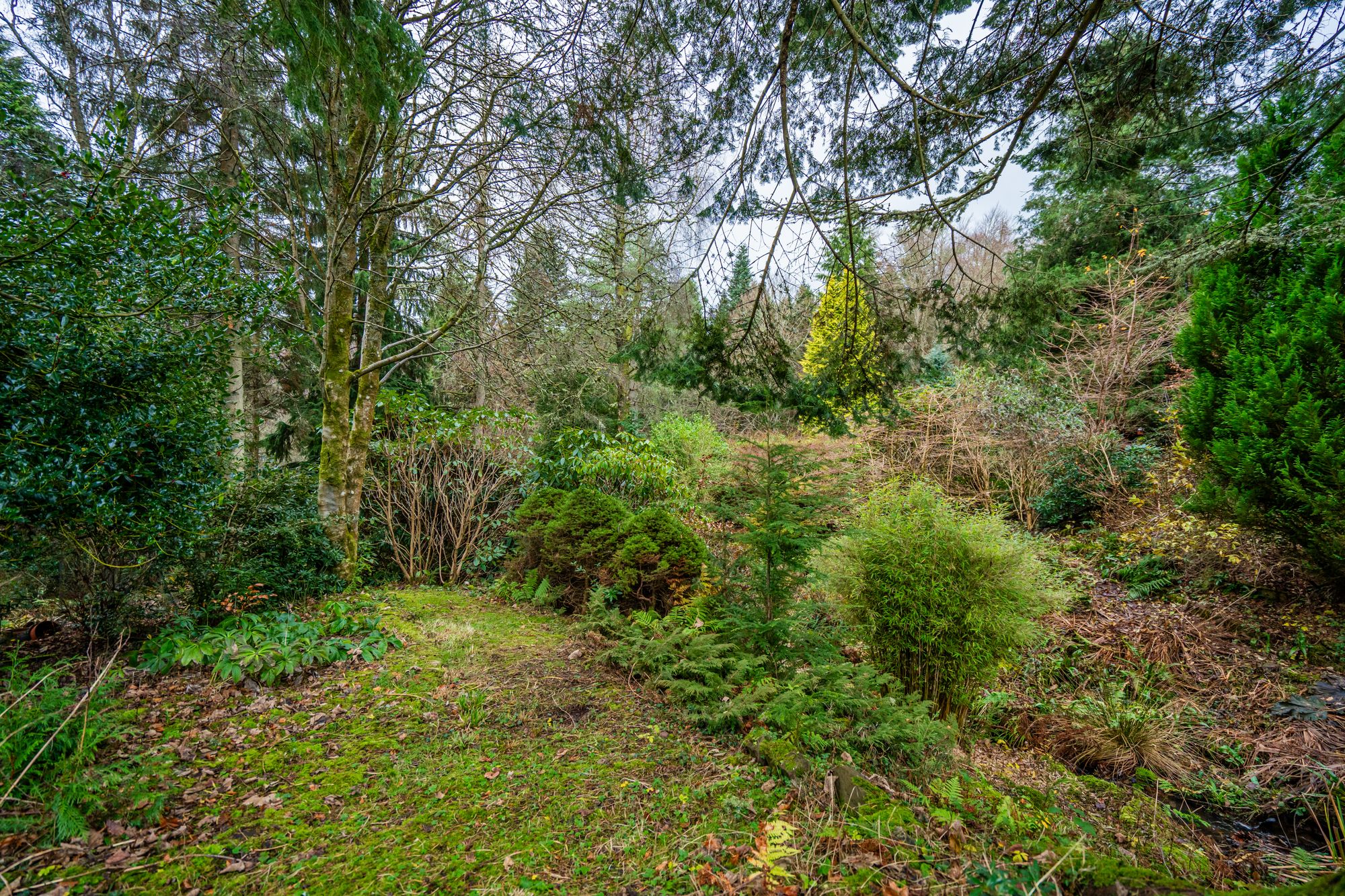 3 bed detached house for sale in Glen Road, Dunblane, FK15 30