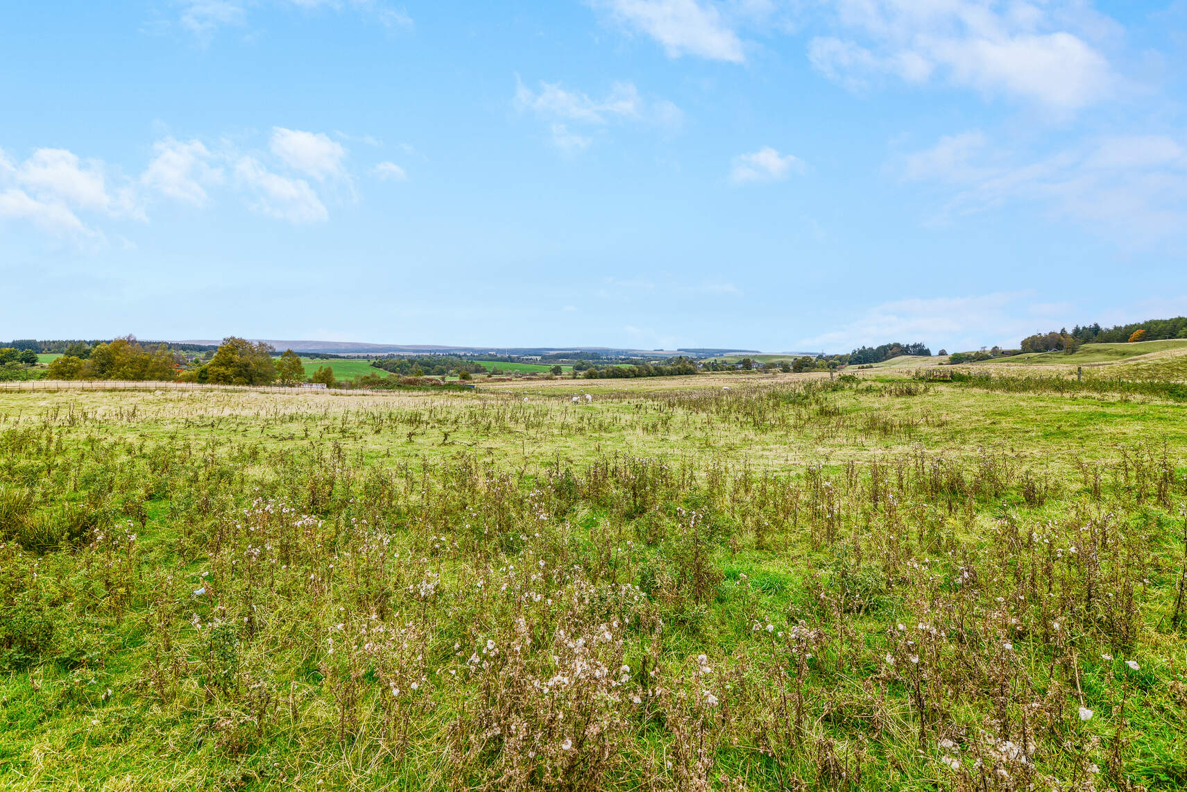 2 bed flat for sale in The Square, Dunblane  - Property Image 14