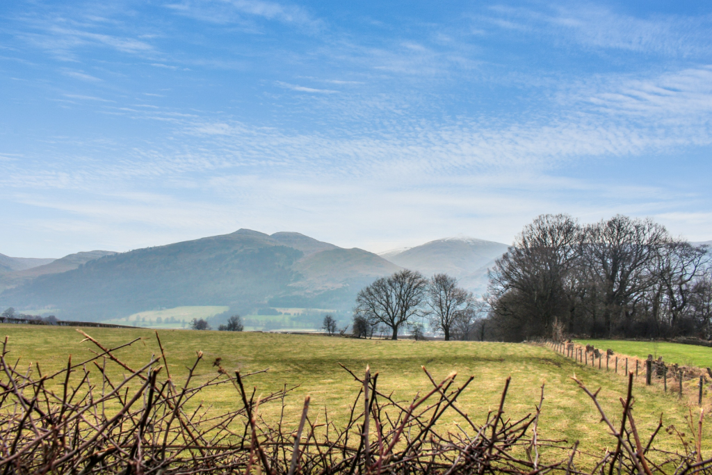 3 bed bungalow for sale in Wardlaw Street, Tillicoultry  - Property Image 10