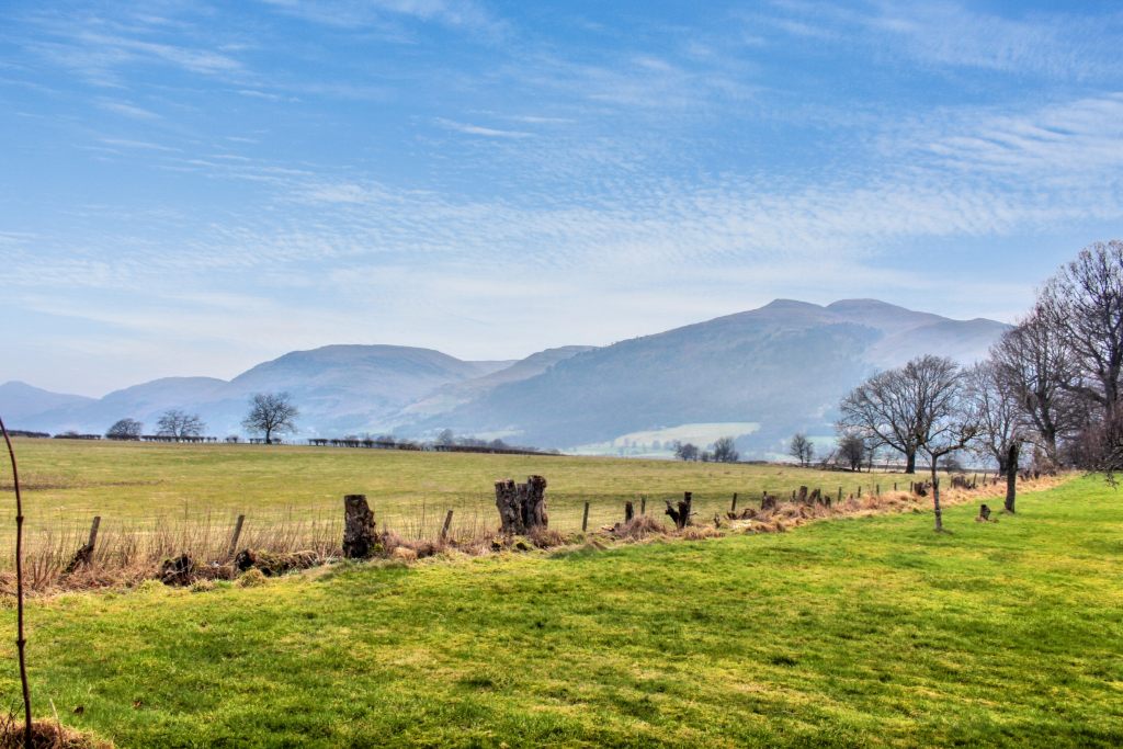 3 bed bungalow for sale in Wardlaw Street, Tillicoultry  - Property Image 9