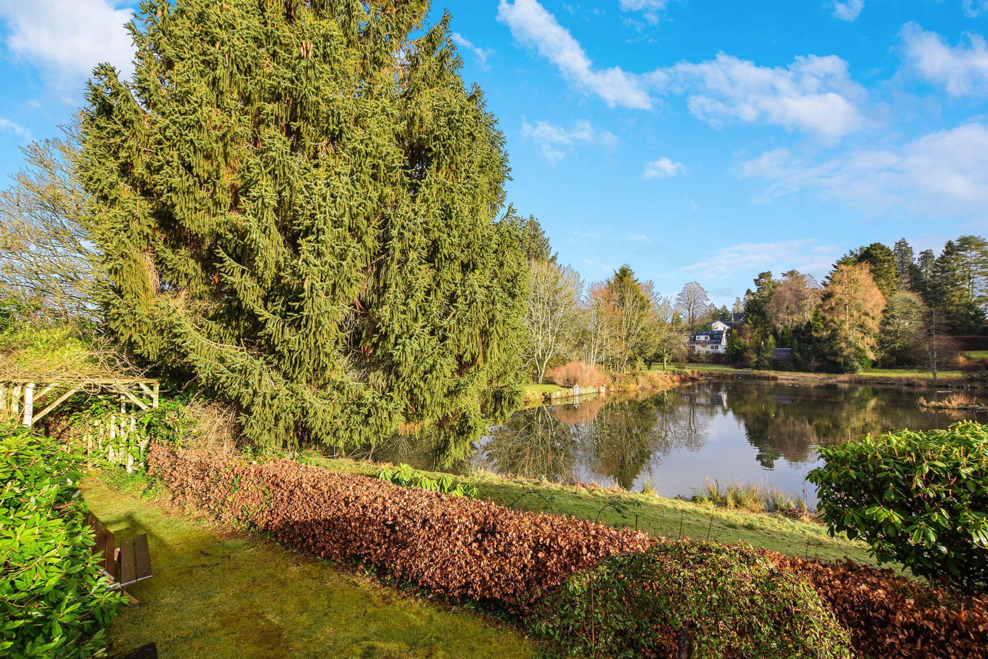 2 bed detached bungalow for sale in Ochlochy Park, Dunblane  - Property Image 19