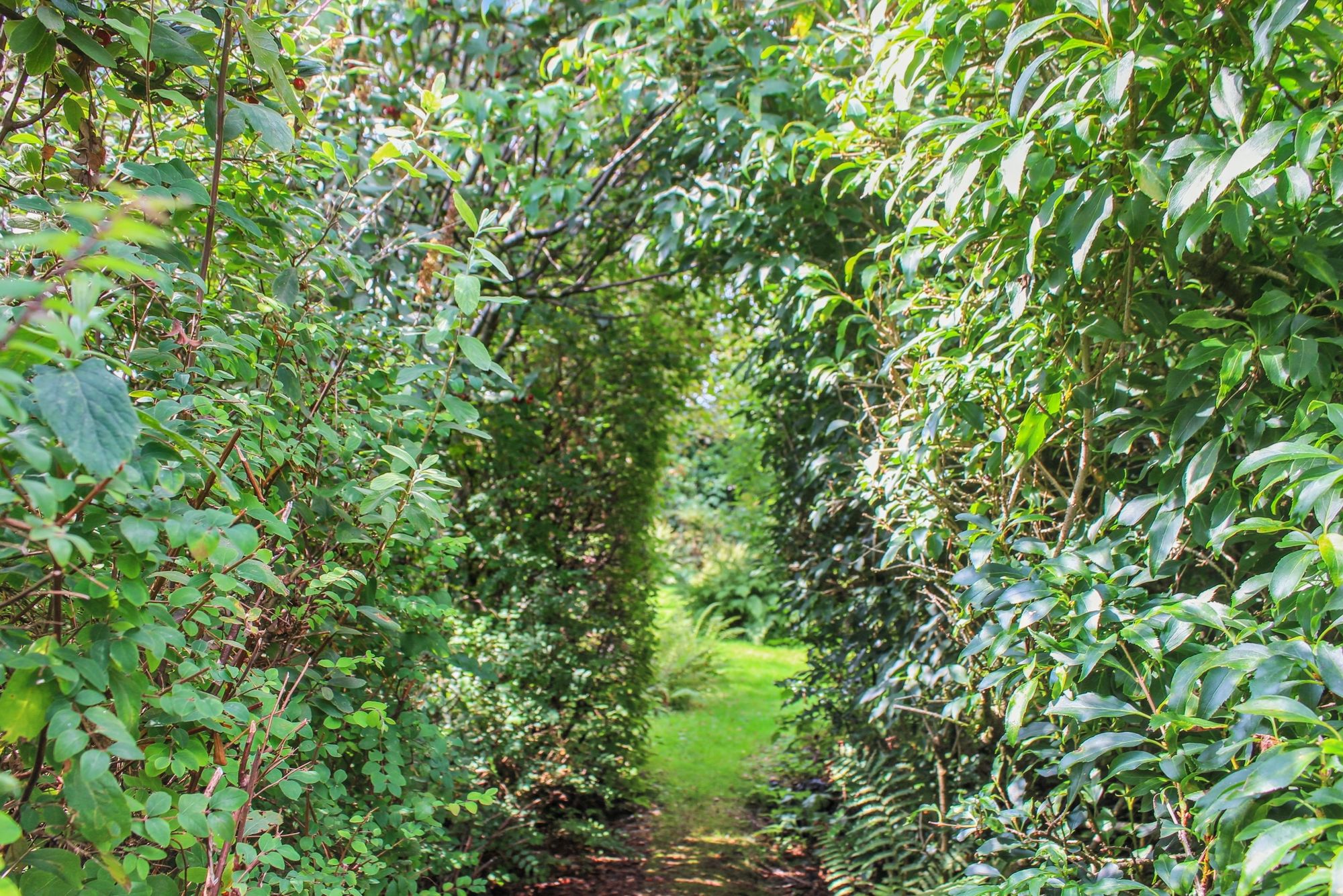 2 bed terraced house for sale in Bridgend, Callander, FK17 14