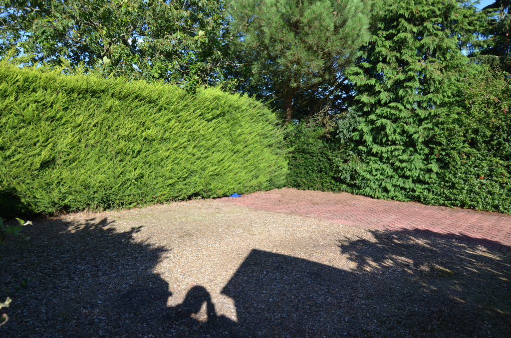 2 bed cottage to rent in Burnt Oak Lane, Sidcup, DA15 9DB  - Property Image 17