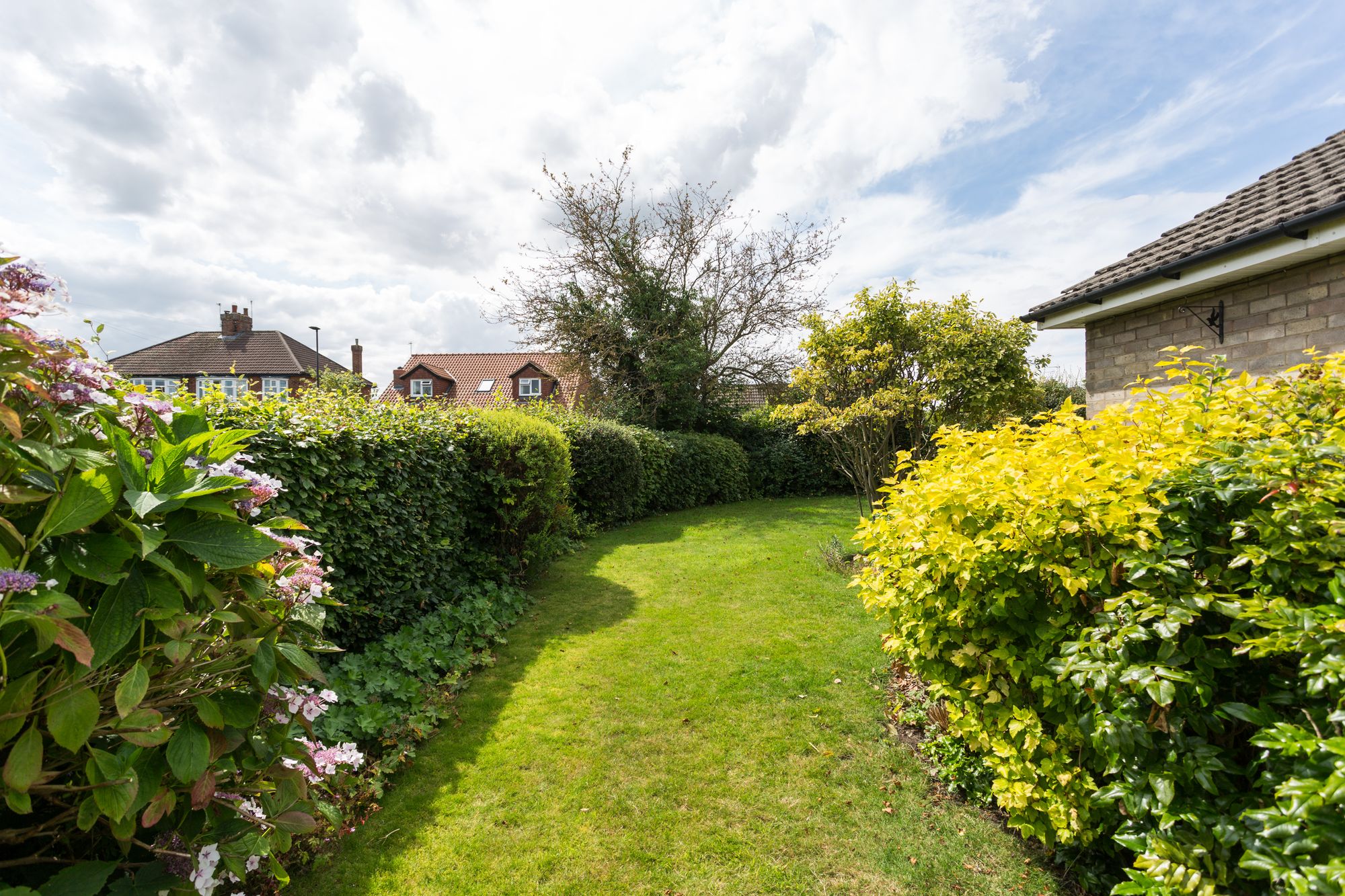 3 bed bungalow for sale in Dikelands Lane, York  - Property Image 15