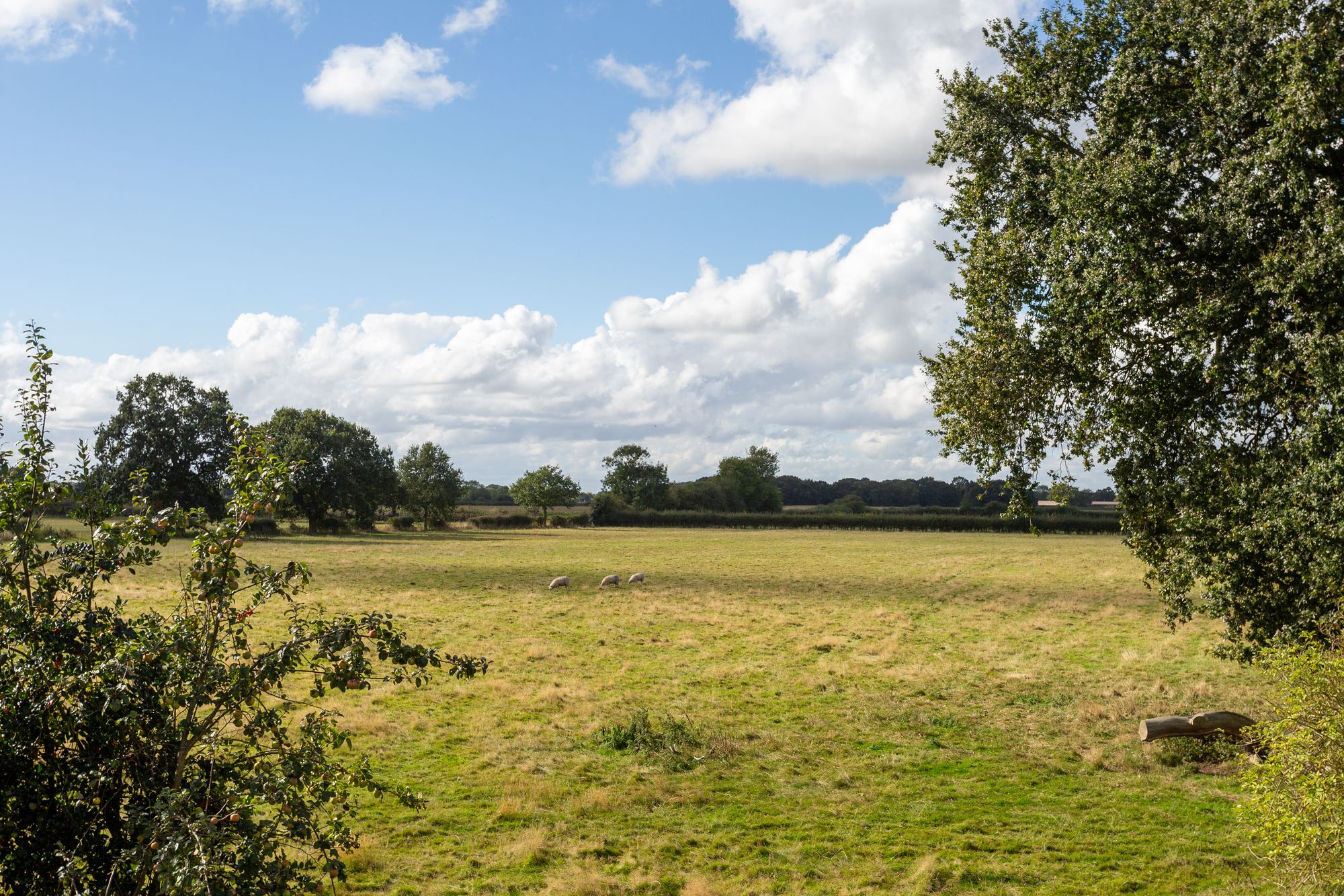 3 bed detached house for sale in Mill Lane, York  - Property Image 2