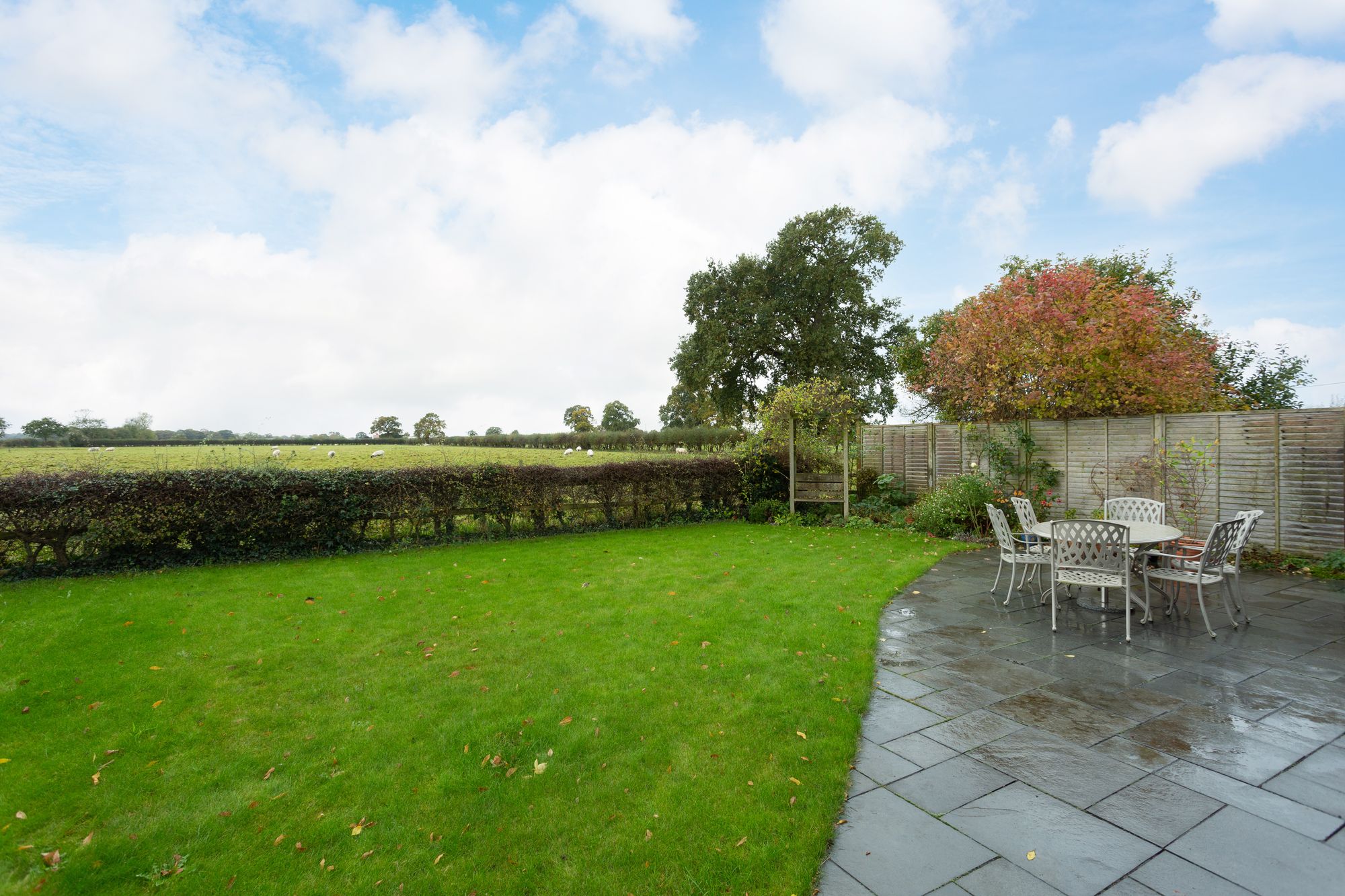 5 bed bungalow for sale in Mill Lane, York  - Property Image 6