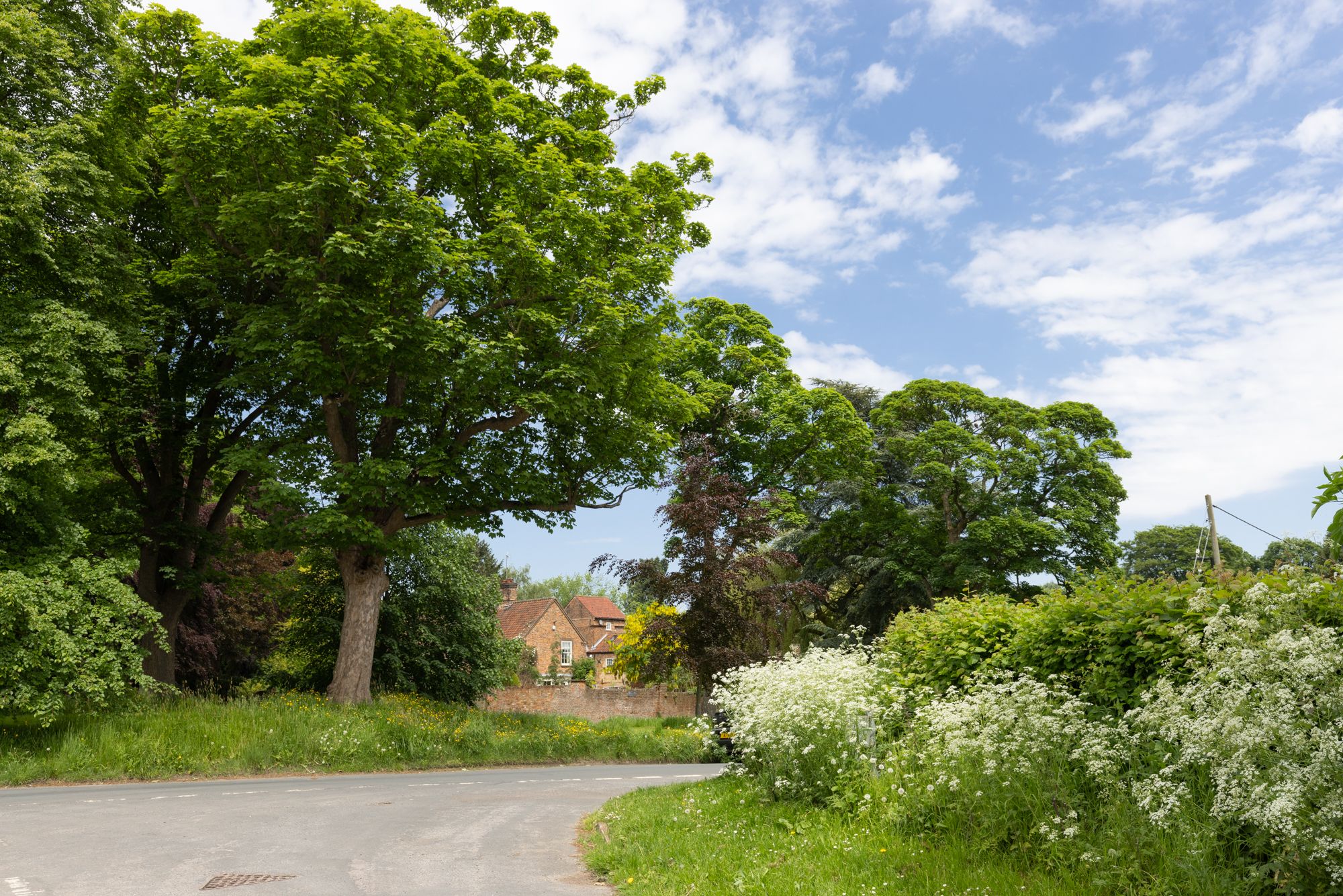 2 bed house for sale in Orchard View, York  - Property Image 20