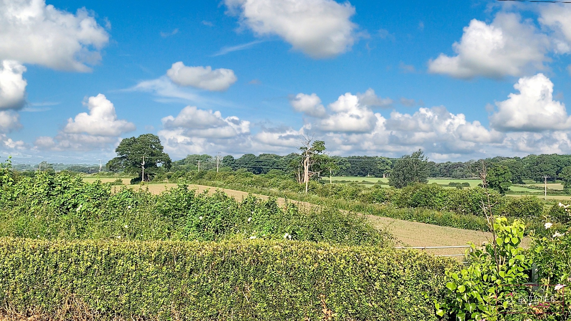 3 bed detached bungalow for sale in St. Asaph Road  - Property Image 19