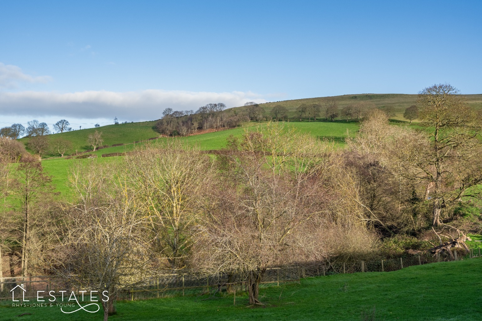 1 bed semi-detached house to rent, Denbighshire  - Property Image 7