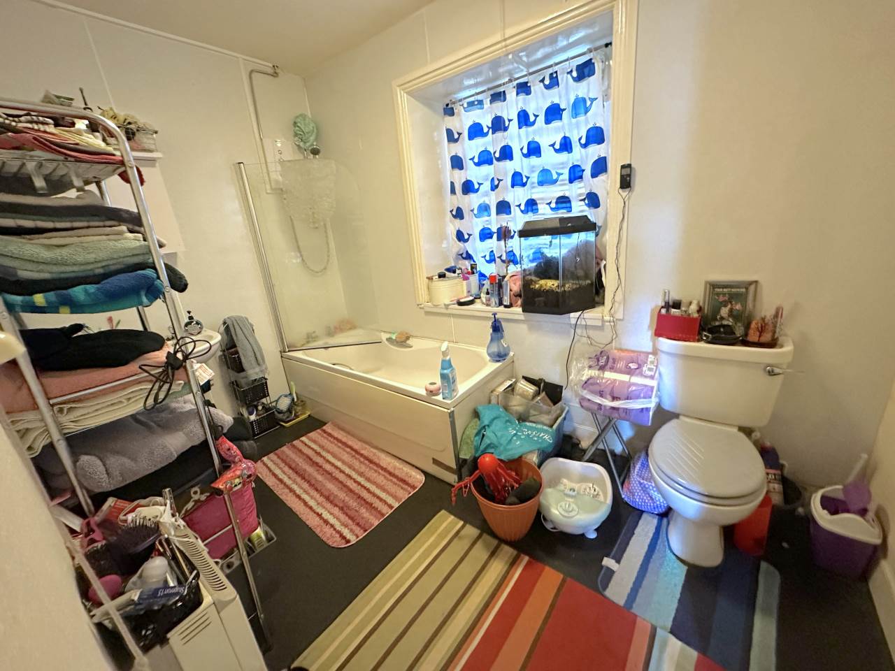 3 bed end of terrace house for sale in Chalybeate Street, Aberystwyth  - Property Image 9