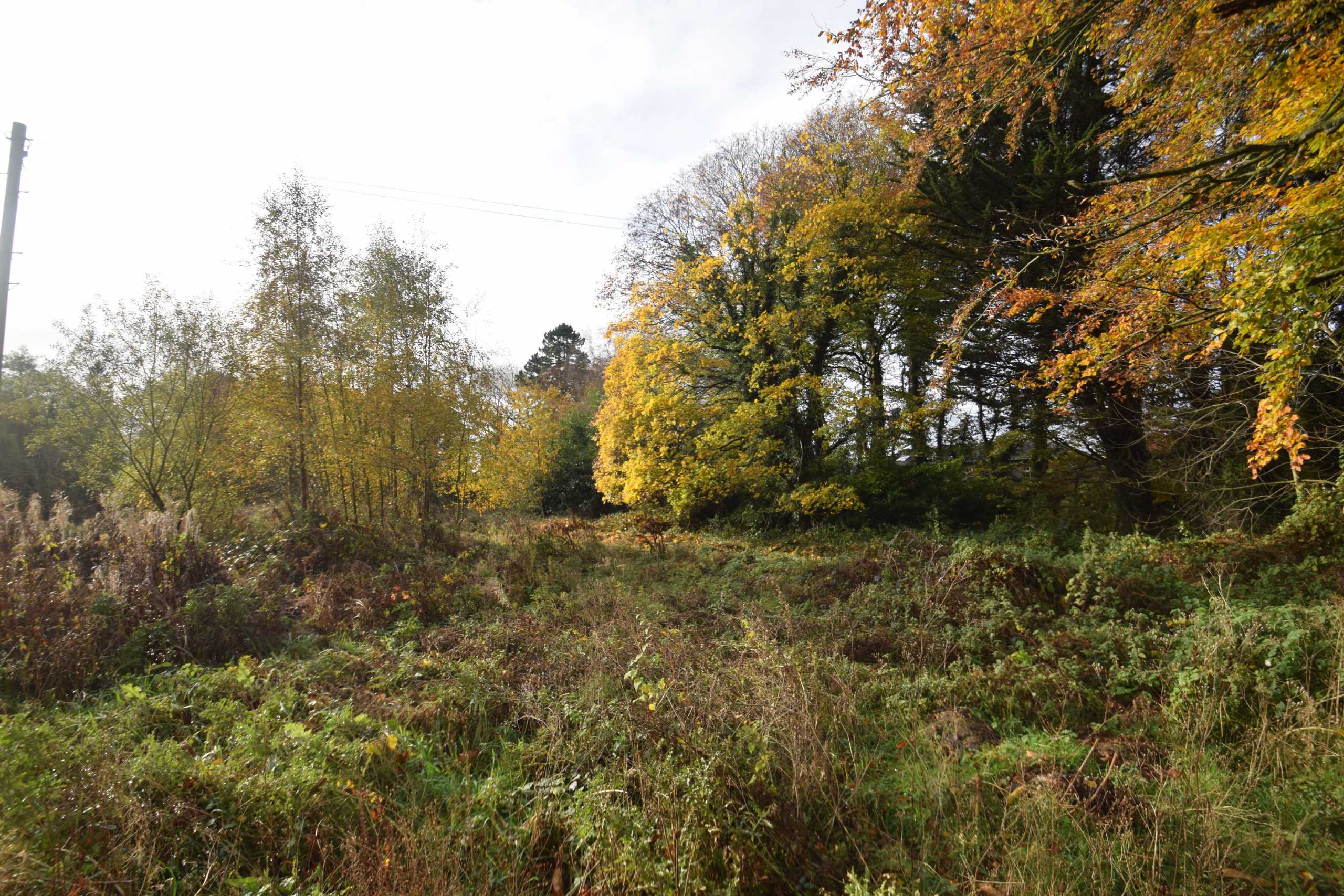 Land (residential) for sale in Mill Lane, Cloughton  - Property Image 6