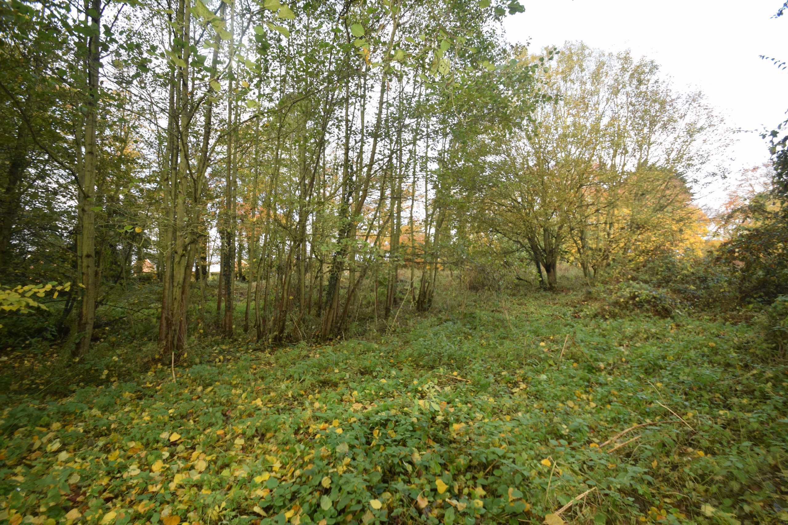 Land (residential) for sale in Mill Lane, Cloughton  - Property Image 15