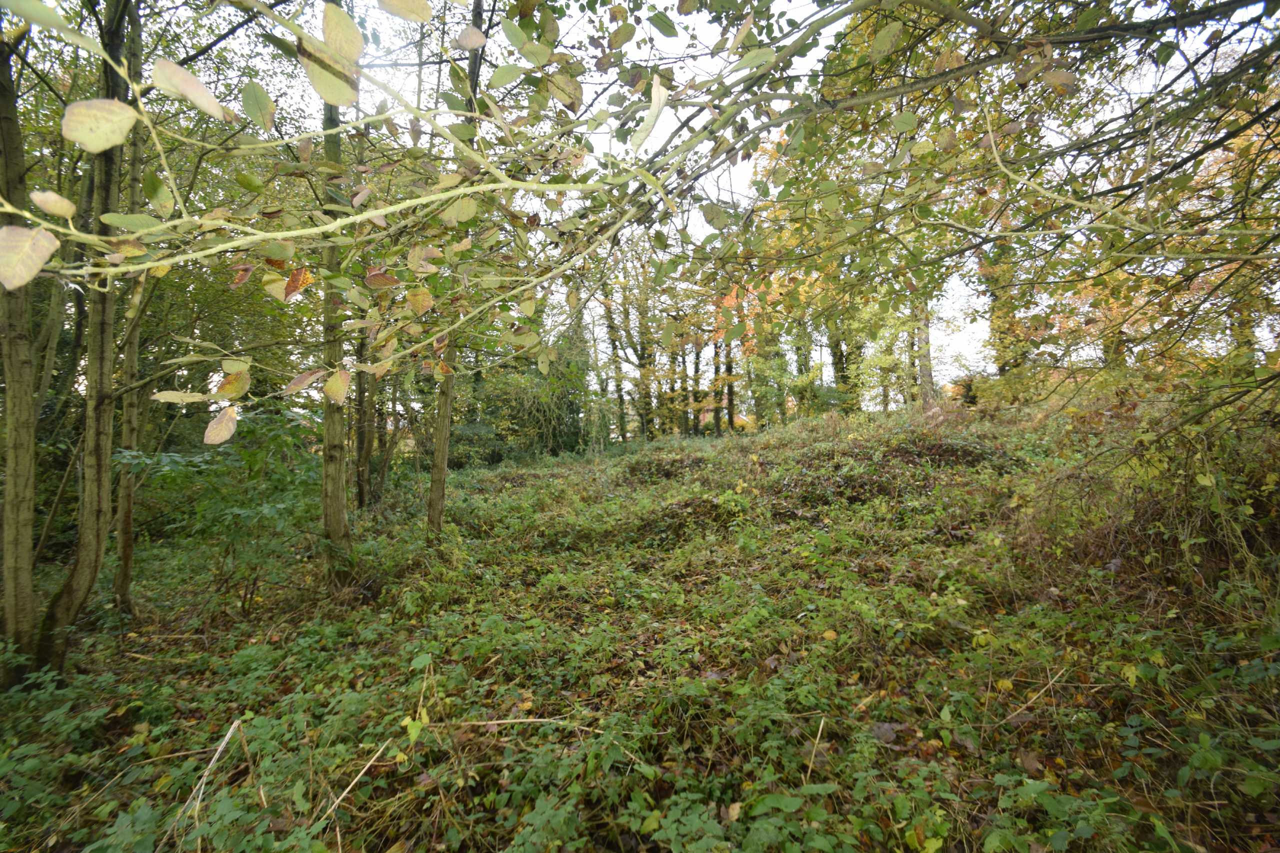 Land (residential) for sale in Mill Lane, Cloughton  - Property Image 16