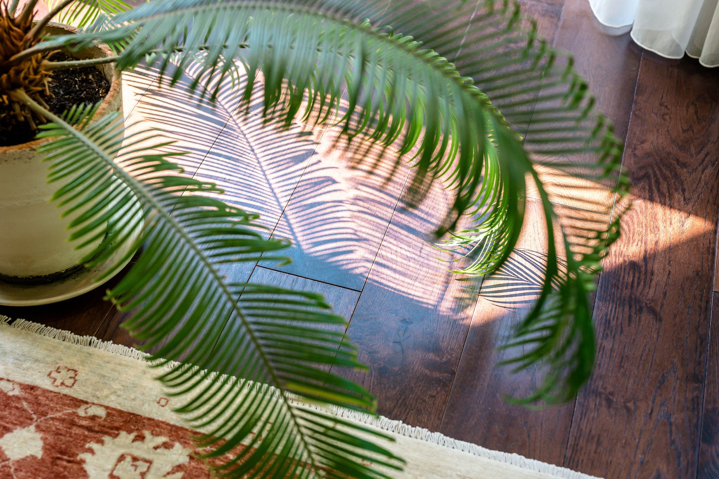 3 bed flat for sale in Suffolk Road, Altrincham 5