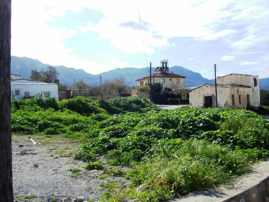 Land (residential) for sale, Esentepe 0