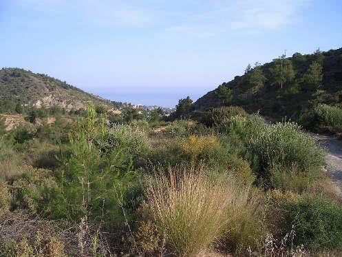Land (residential) for sale 0