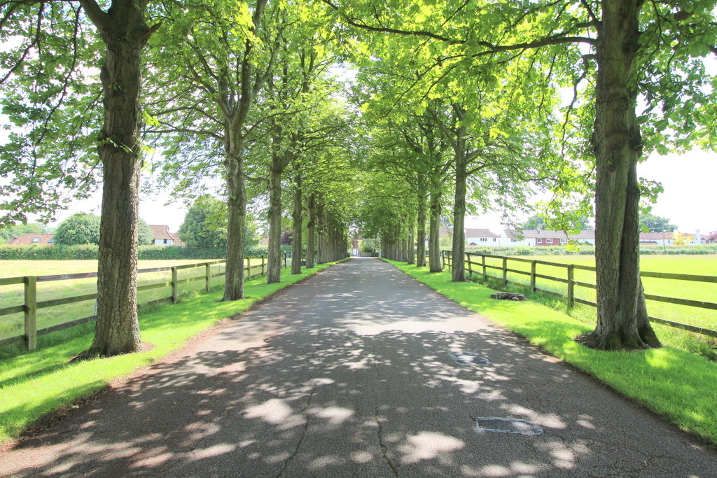 1 bed detached house to rent in The Old Sussex Stud  - Property Image 15