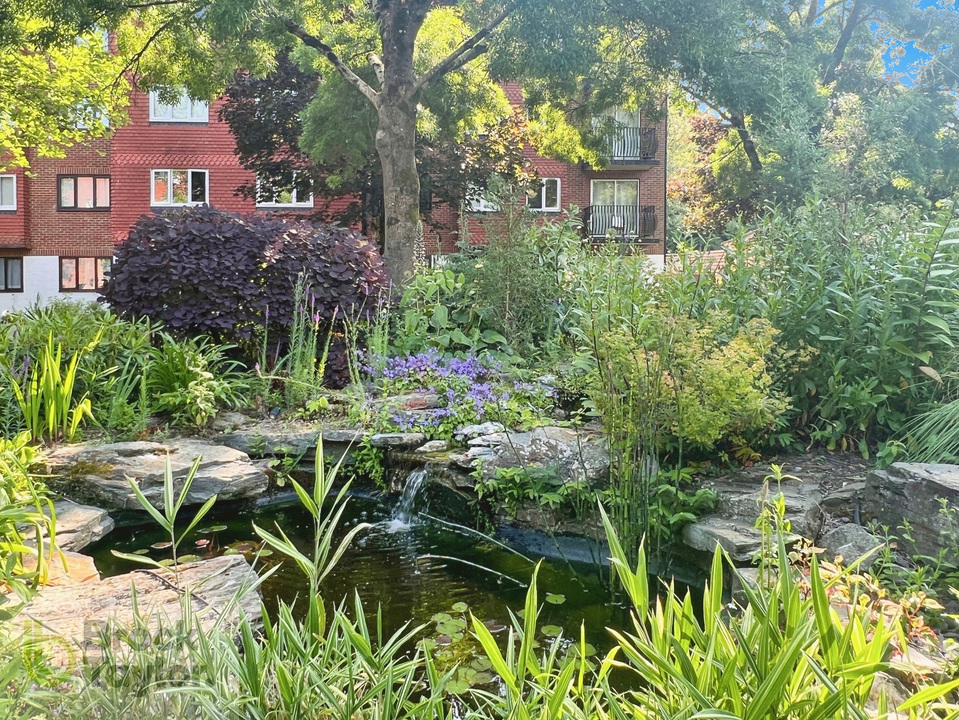 2 bed apartment for sale in Great Heathmead, Haywards Heath - Property Image 9