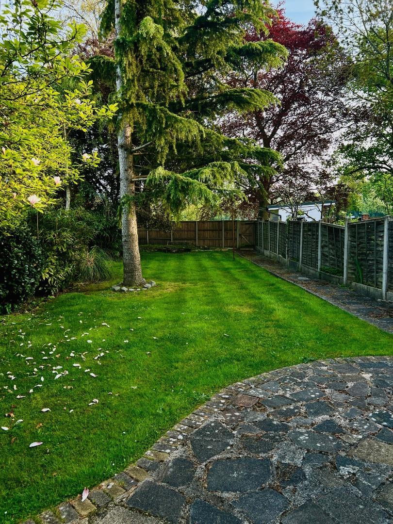 3 bed flat to rent in Cecil Road, London  - Property Image 2