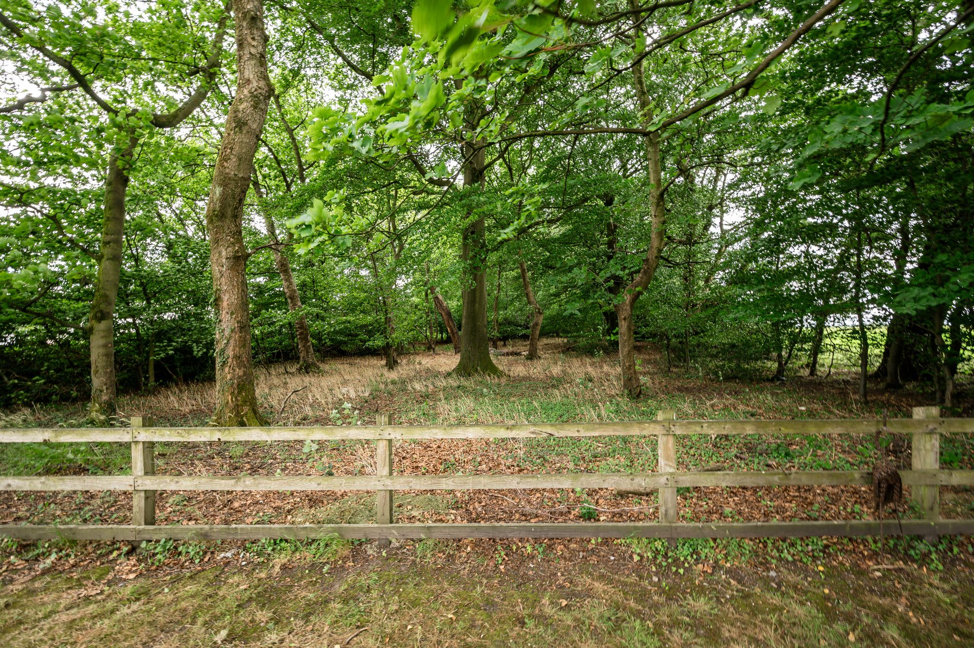 4 bed detached house for sale in Newbrook Road, Bolton  - Property Image 57