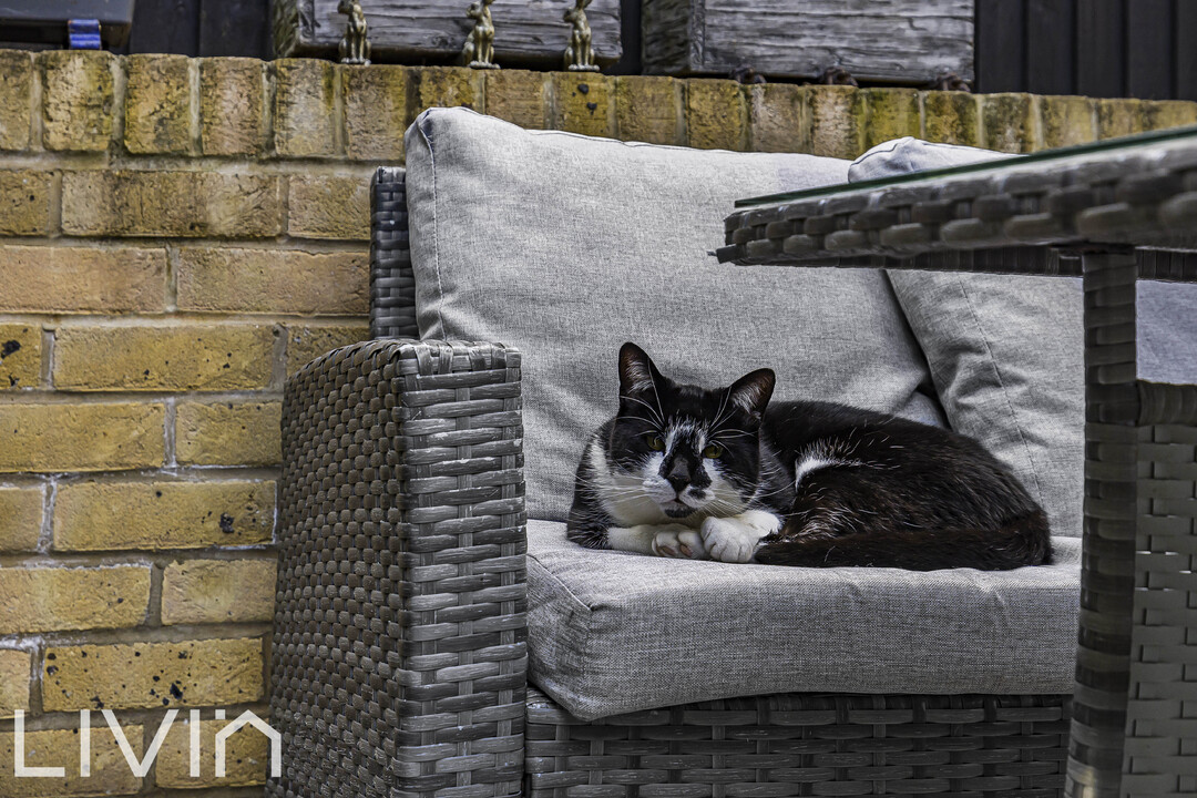 2 bed terraced house for sale in Tanfield Road, Croydon 16