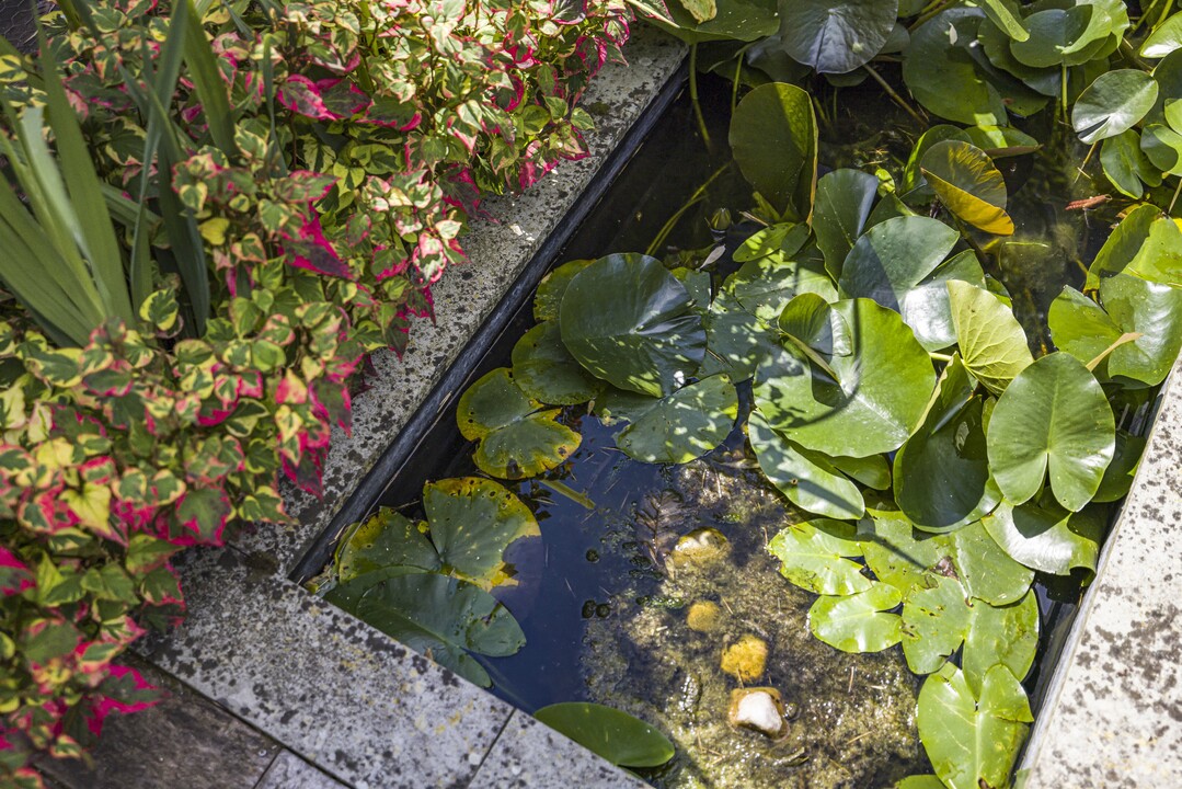 3 bed semi-detached house for sale in Raglan Court, South Croydon 19