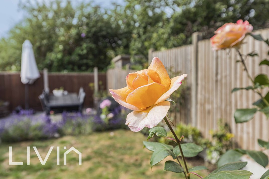 3 bed terraced house for sale in Dalmally Road, Croydon 11