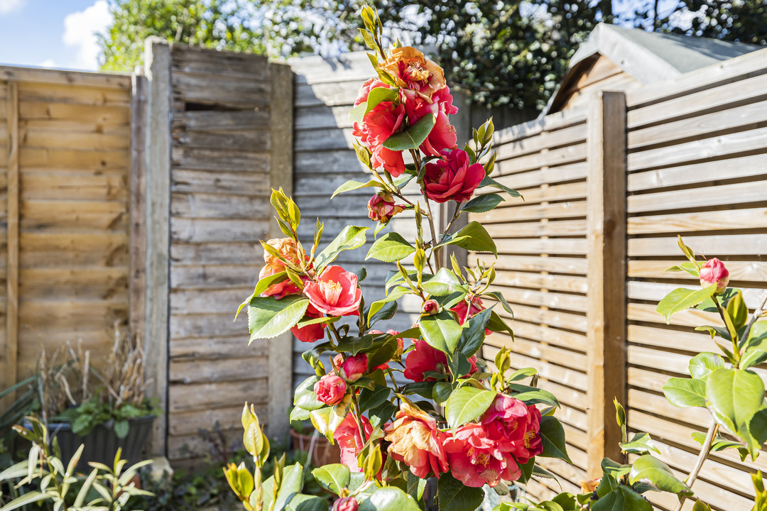 4 bed terraced house for sale in Khama Road, London 10