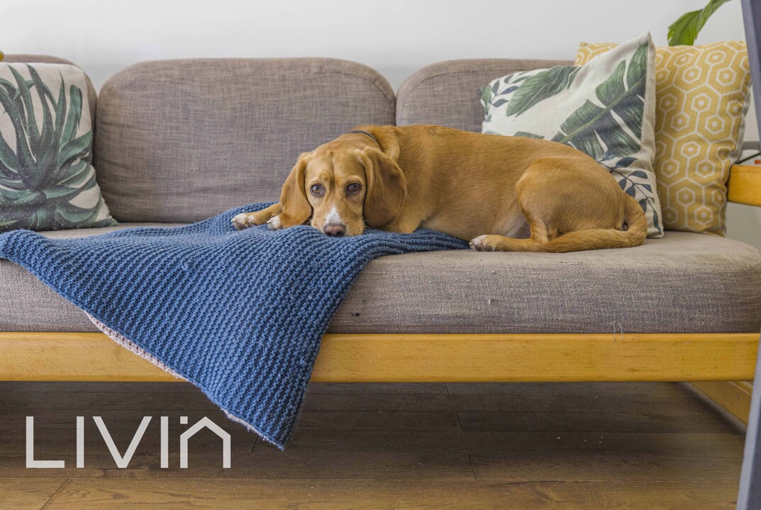 3 bed apartment for sale in Woodside Green, London 7