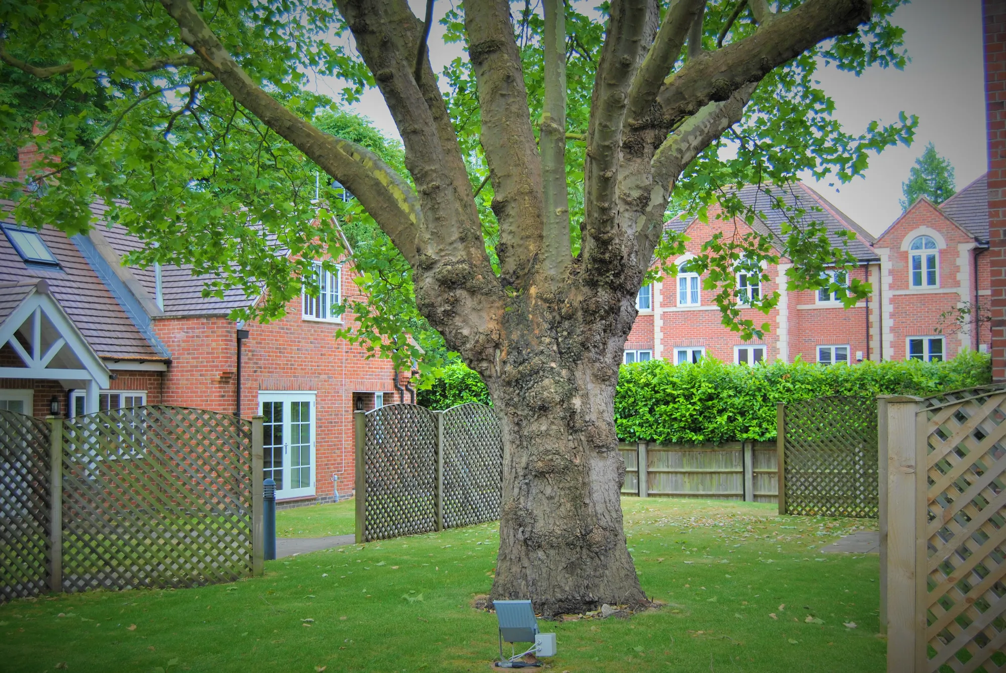 1 bed apartment to rent in Elms Road, Leicester  - Property Image 16