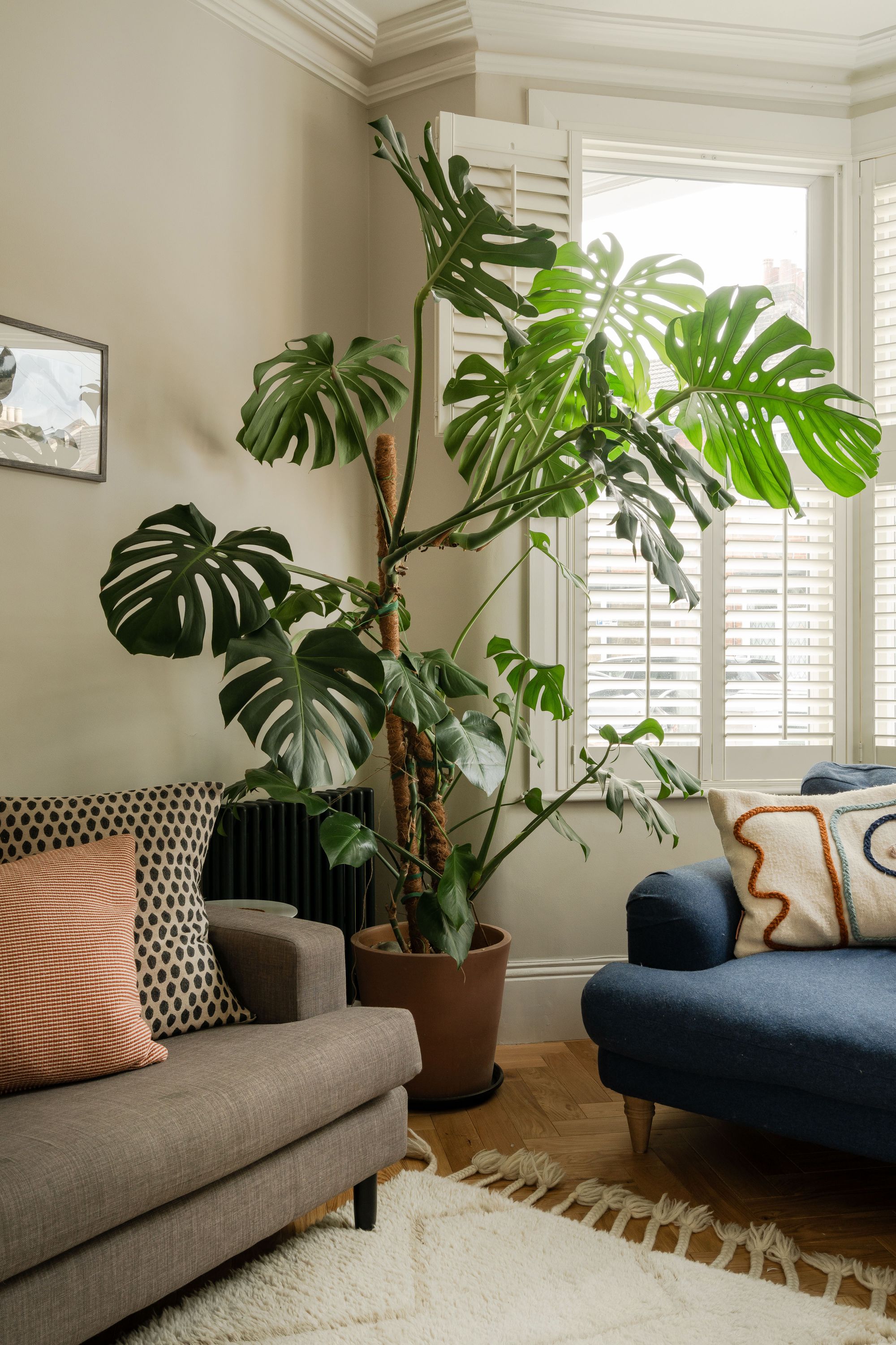 3 bed terraced house for sale in Shortlands Road, Leyton, London, E10  - Property Image 4