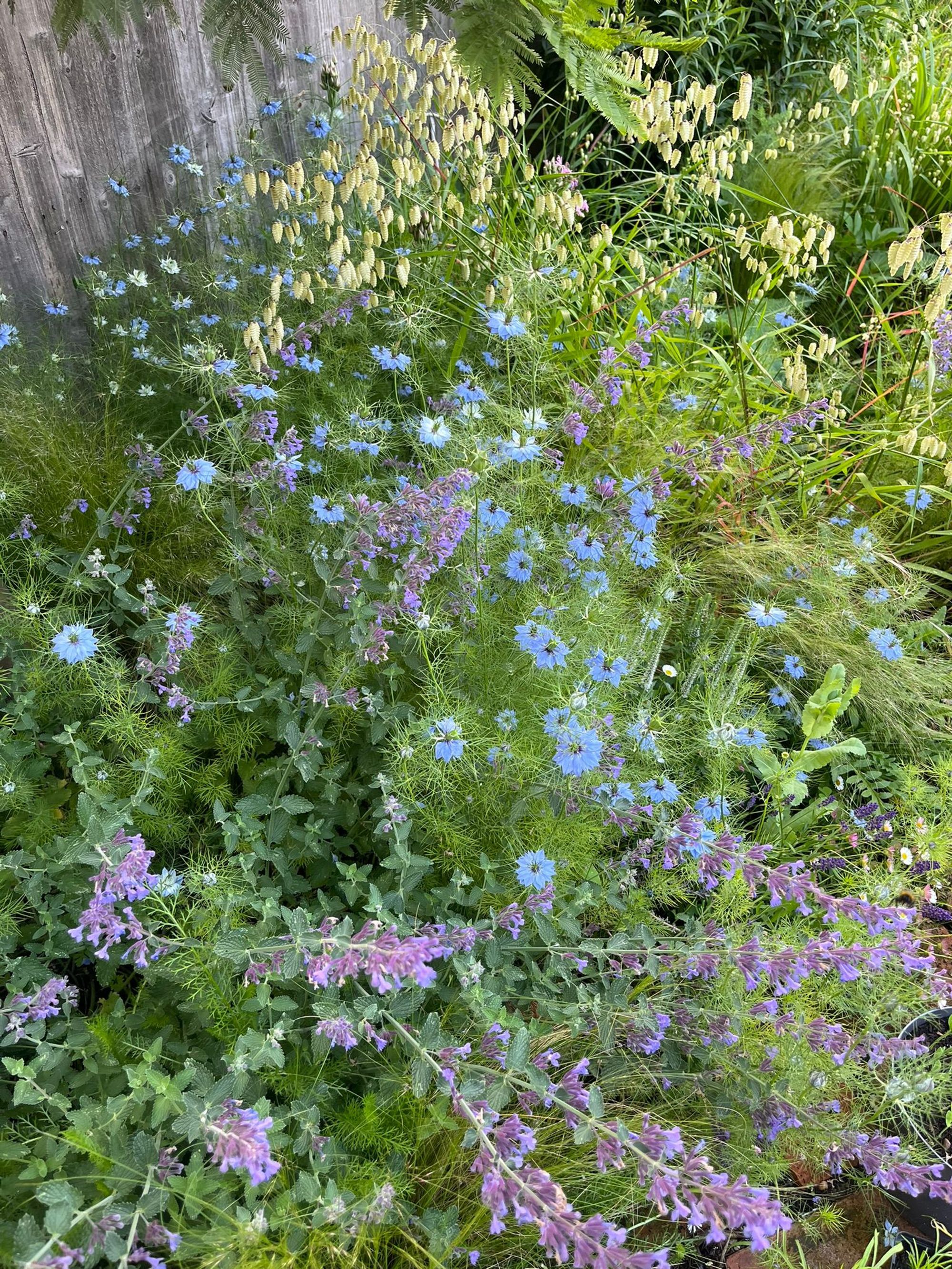 2 bed terraced house for sale in Farmer Road, Leyton, London, E10  - Property Image 34