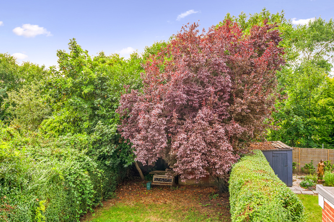 3 bed semi-detached house to rent in Noel Road, Acton  - Property Image 18