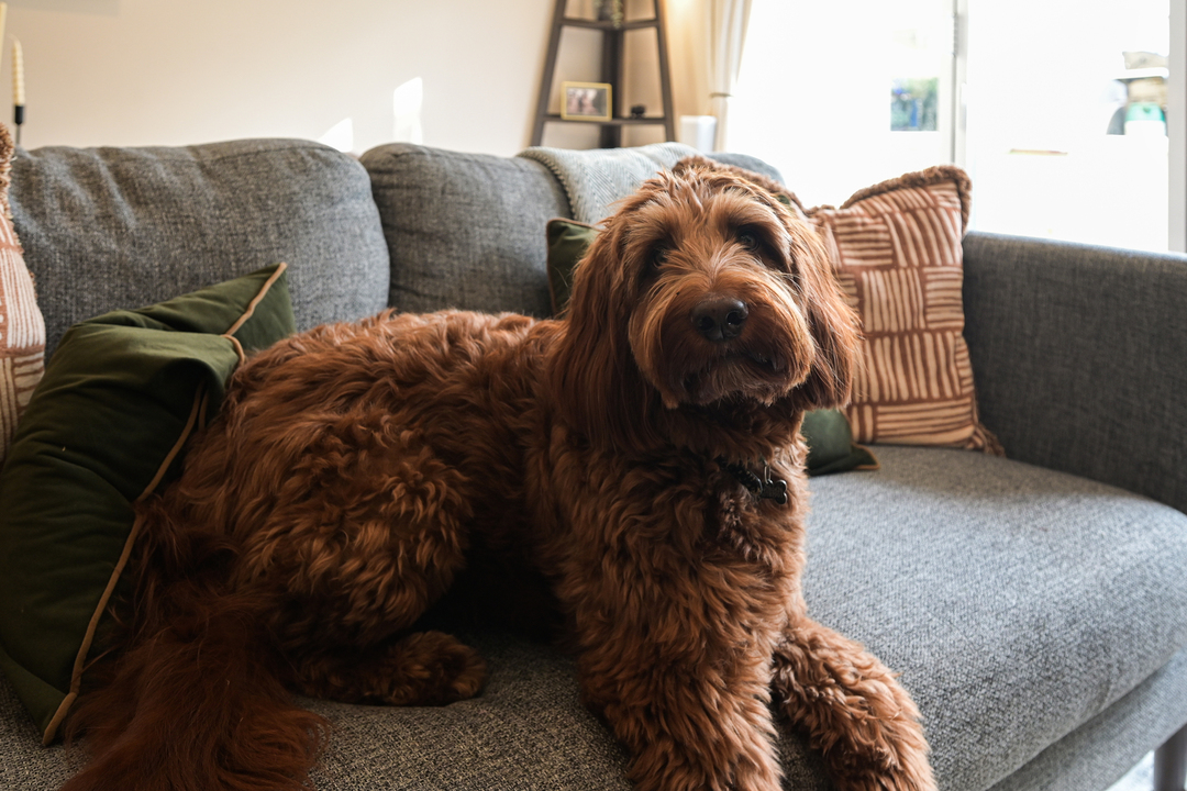 2 bed apartment for sale in Sutherland Road, Ealing 19