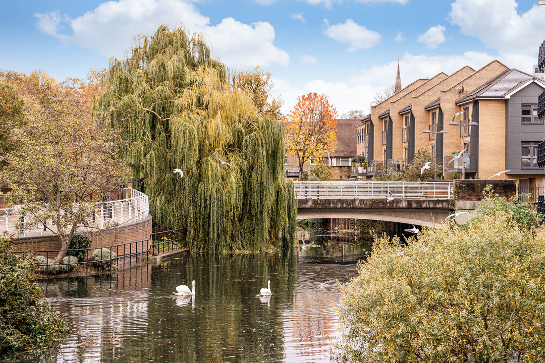 5 bed detached house for sale in The Cedars, The Butts, Upper Butts, Brentford, TW8  - Property Image 8