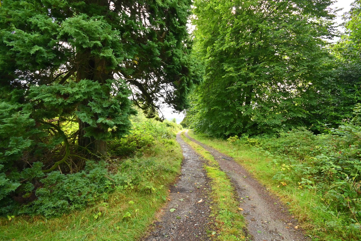 2 bed bungalow for sale, Argyll and Bute  - Property Image 21