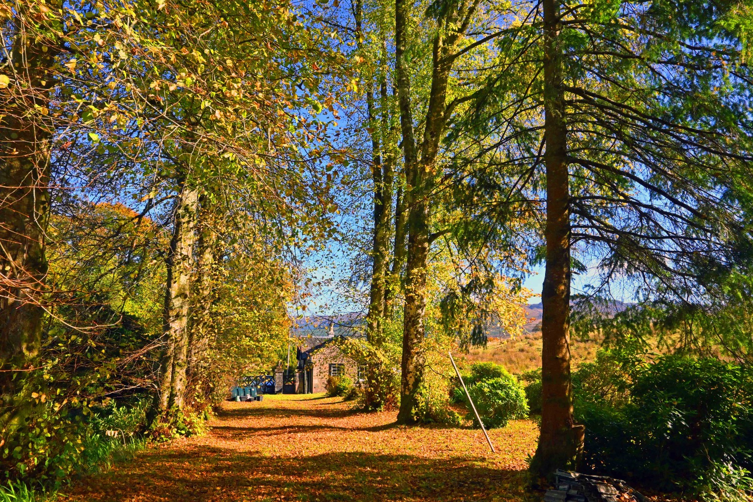 3 bed bungalow for sale, Colintraive  - Property Image 27