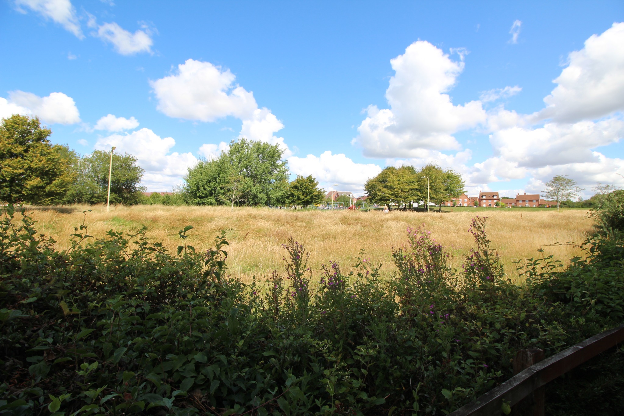 2 bed terraced house to rent in Rosemary Gardens, Fareham  - Property Image 2