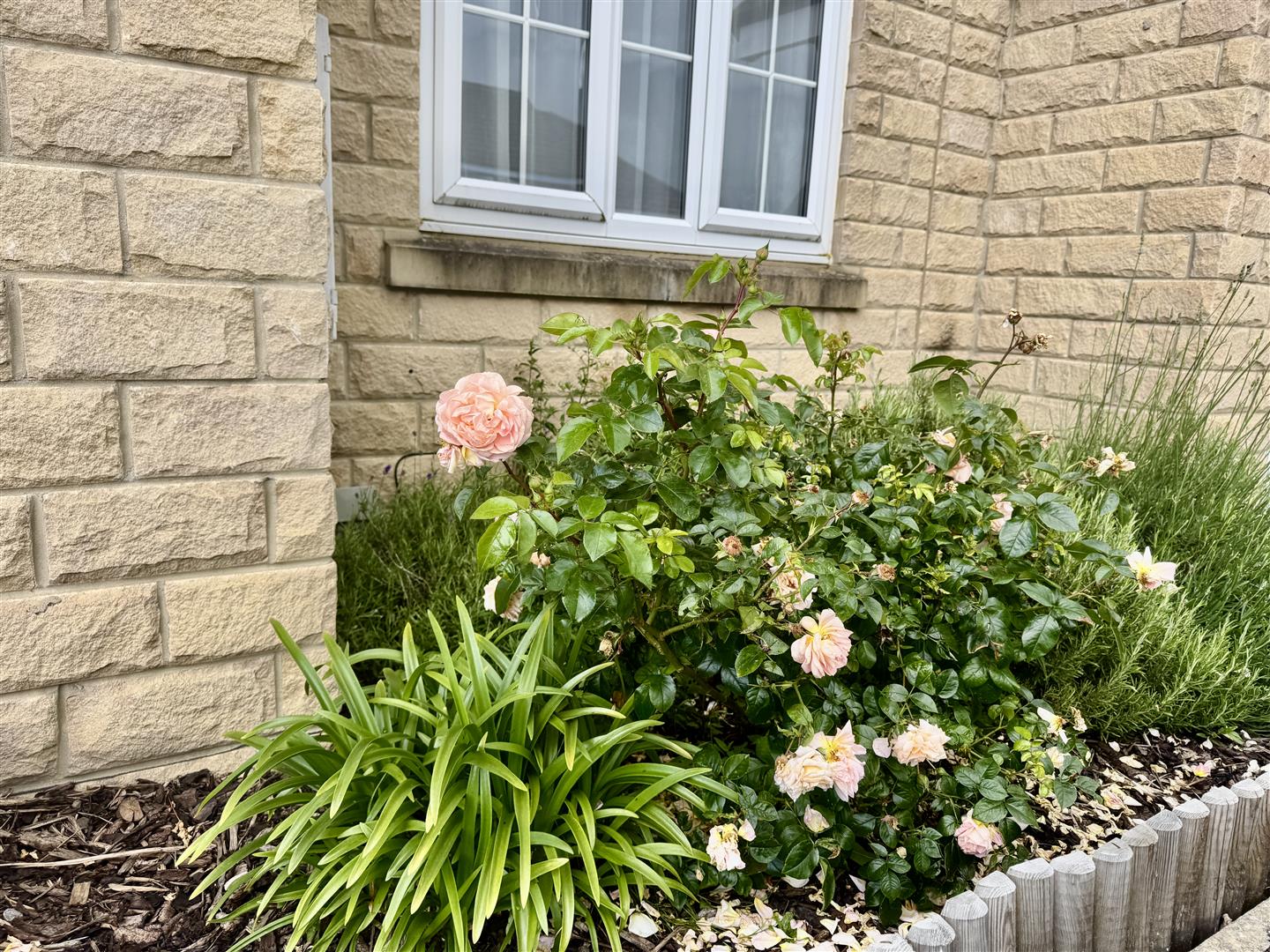 2 bed end of terrace house for sale in The Knoll, Keighley  - Property Image 10