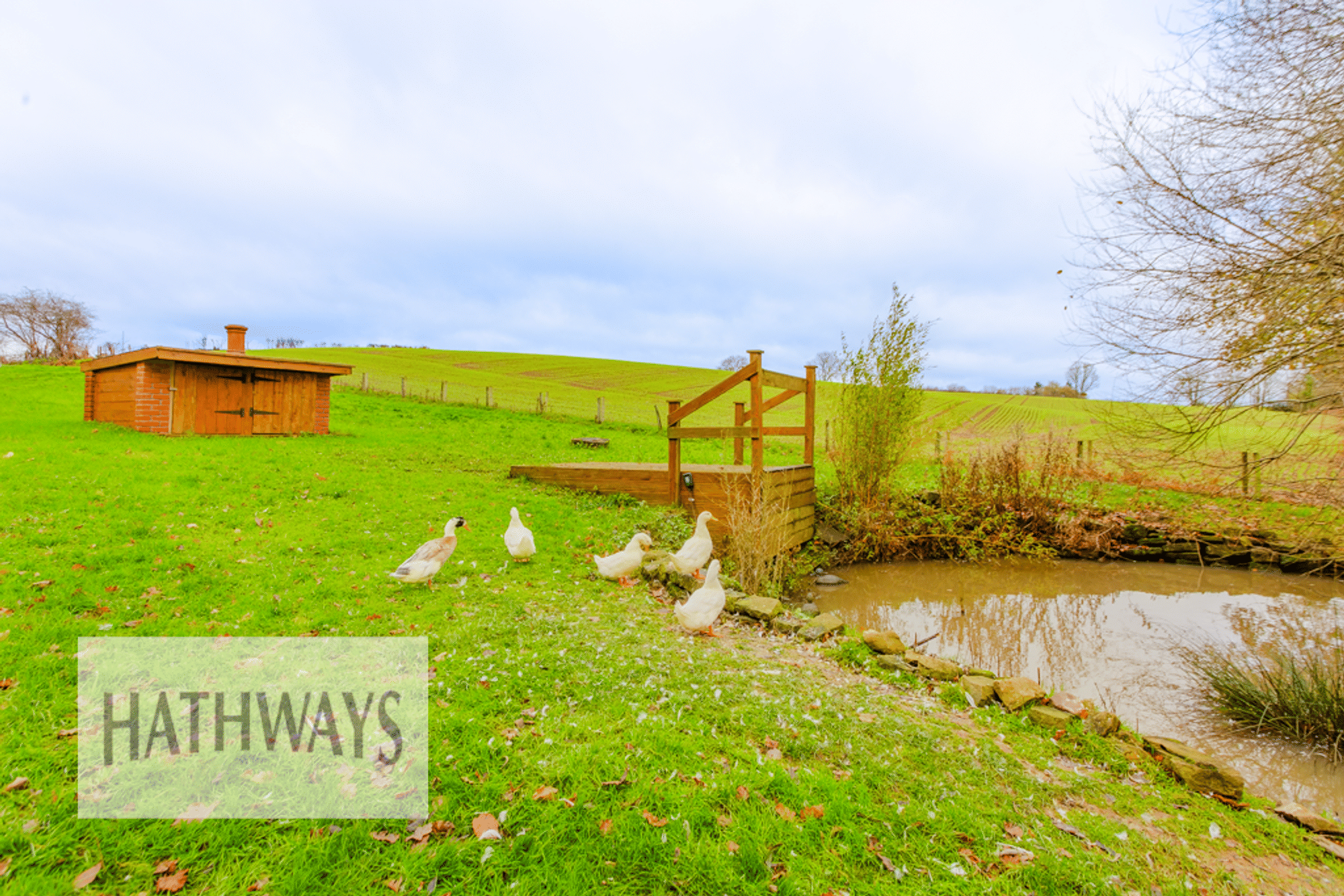 4 bed detached house for sale in Llangybi, Usk  - Property Image 70