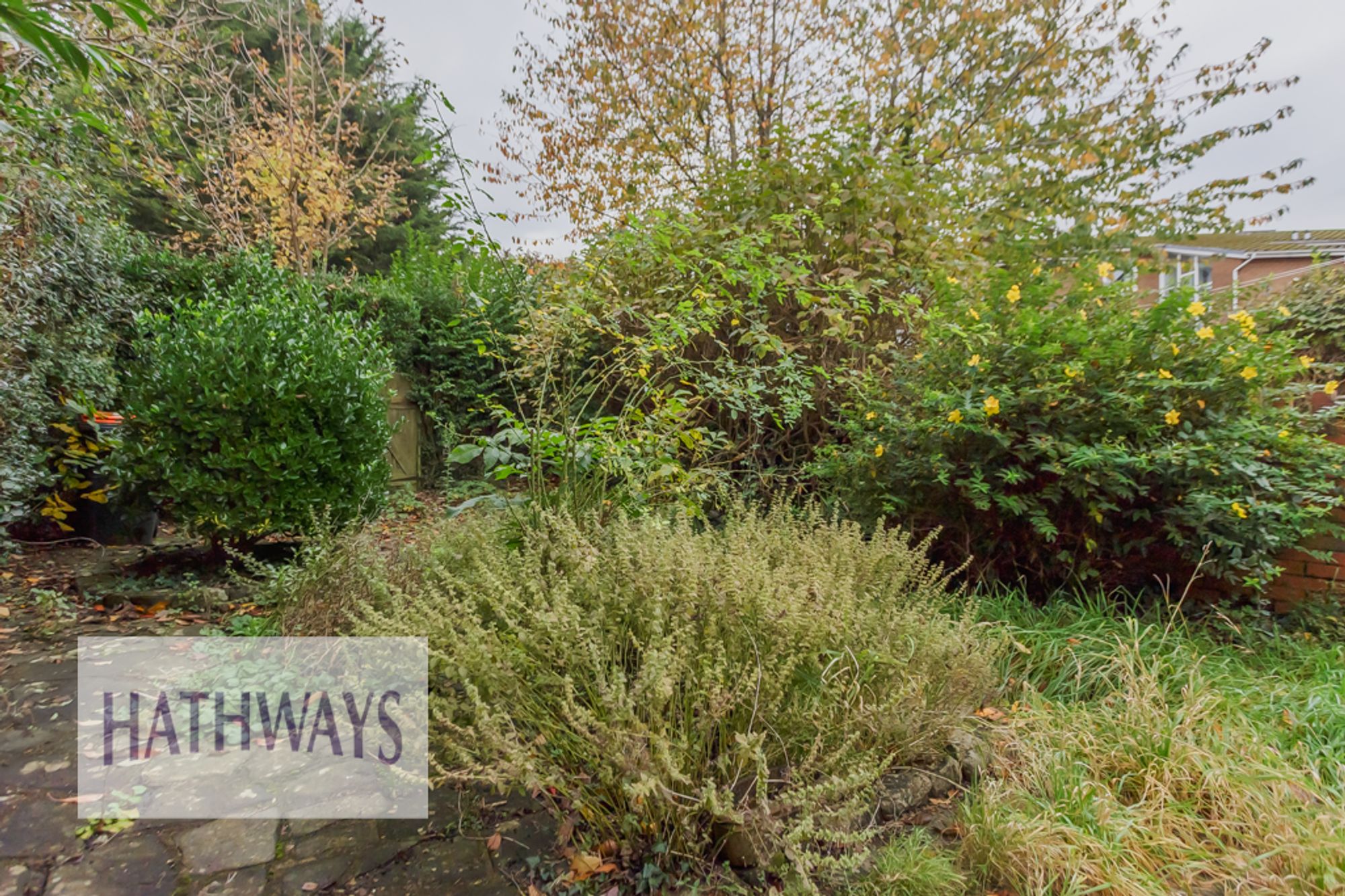 2 bed terraced cottage for sale in Church Street, Newport  - Property Image 29