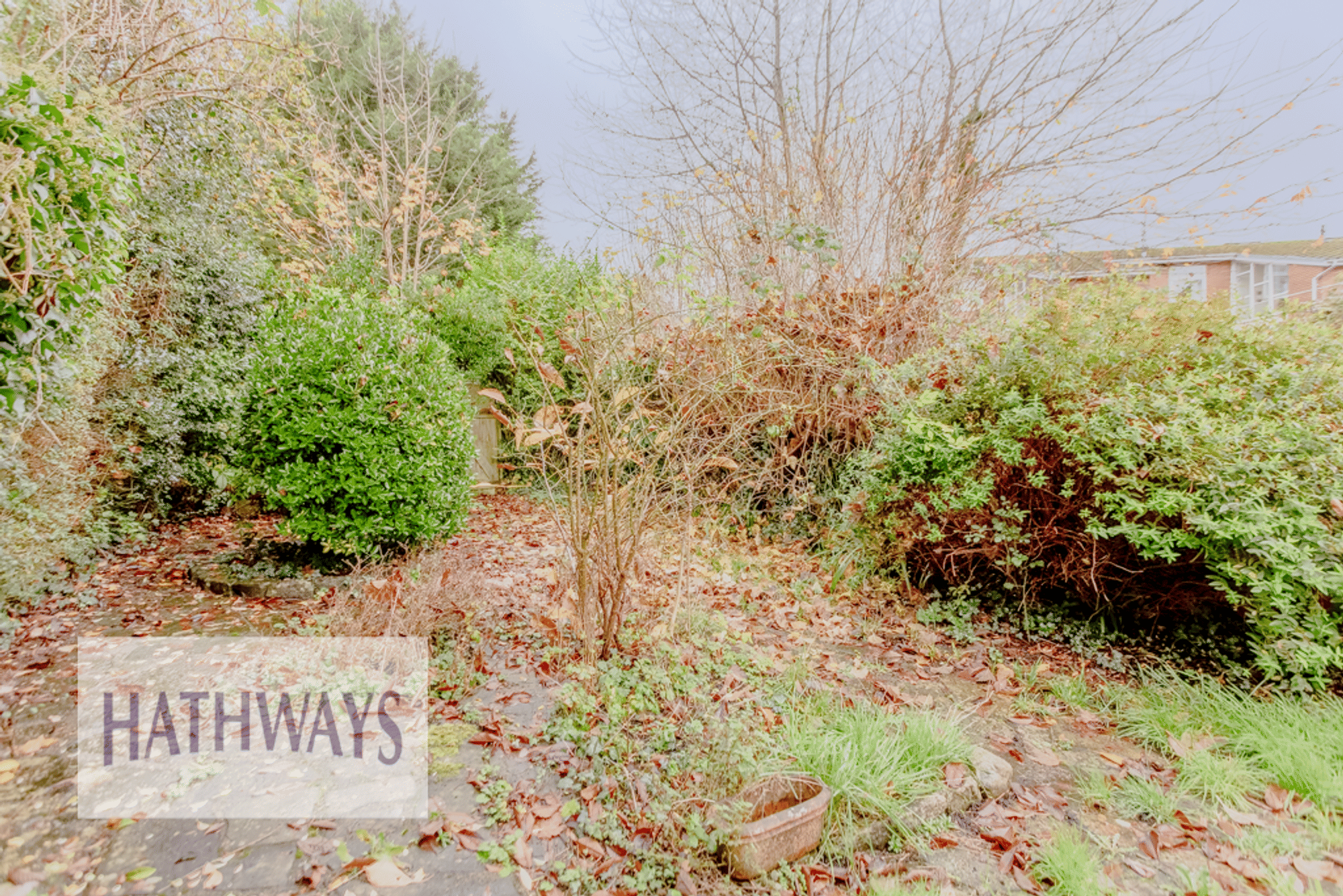 2 bed terraced cottage to rent in Church Street, Newport  - Property Image 29