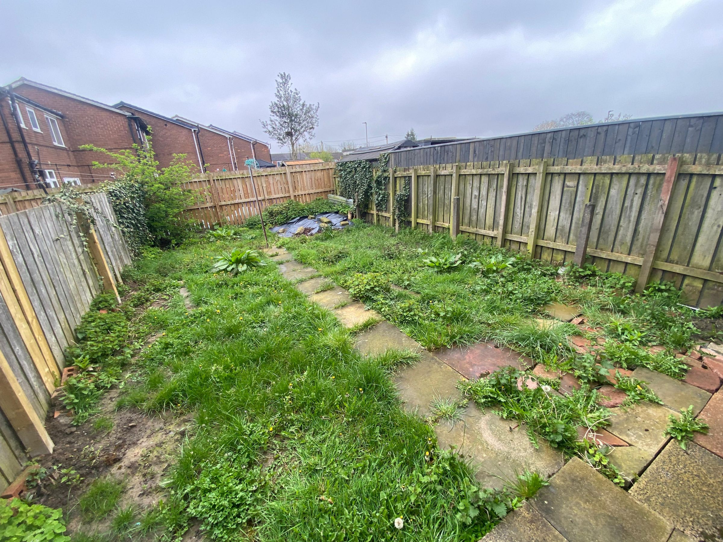 3 bed terraced house to rent in Hedgehope Road, Newcastle upon Tyne  - Property Image 8