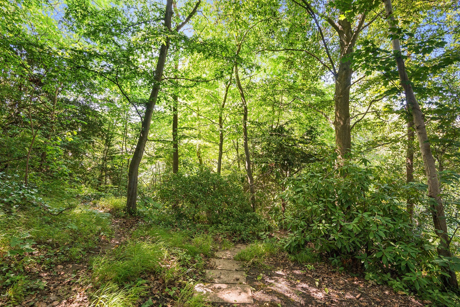 4 bed detached house for sale in Logs Hill, Chislehurst  - Property Image 7