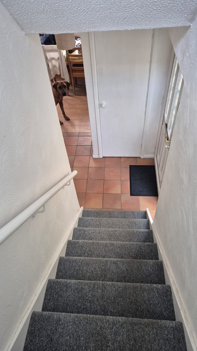3 bed semi-detached house to rent in Leng Crescent, Norwich  - Property Image 8