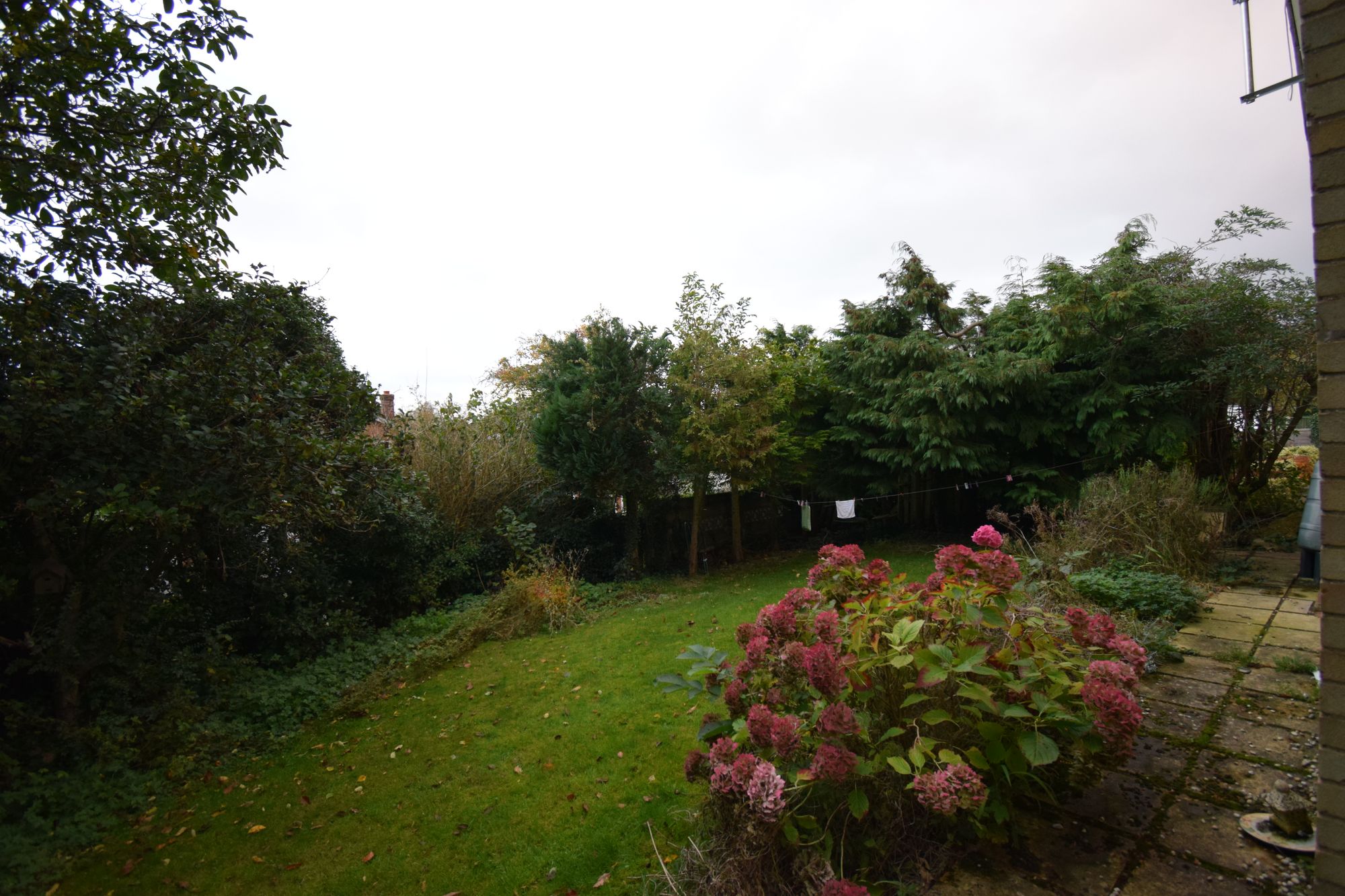 4 bed semi-detached bungalow to rent in Bek Close, Norwich  - Property Image 4