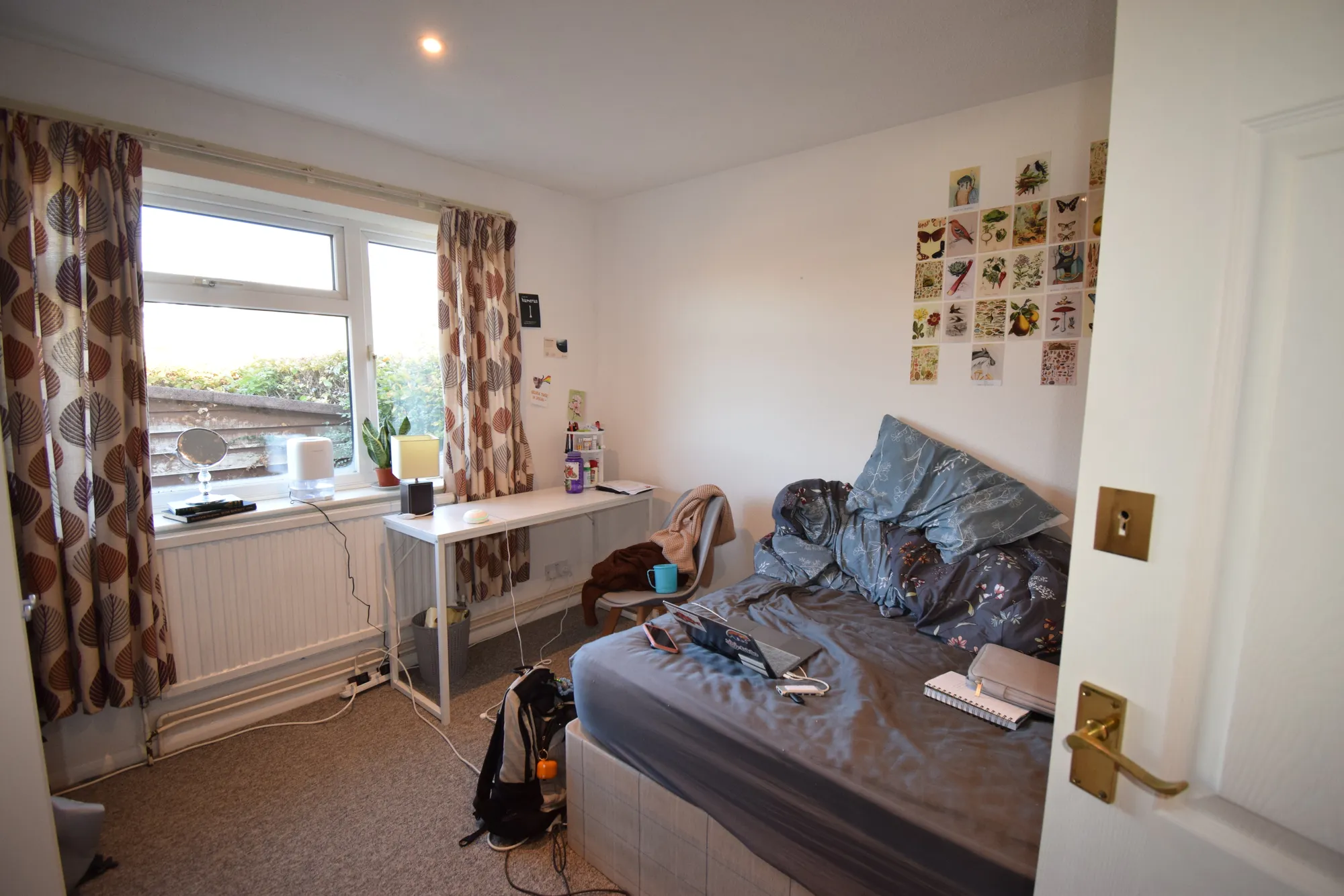 4 bed semi-detached bungalow to rent in Bek Close, Norwich  - Property Image 2